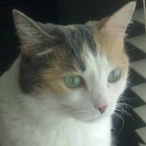 Meet your Posher, Gia